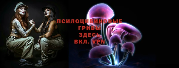 spice Зерноград