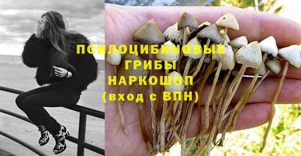 гашик Зеленодольск
