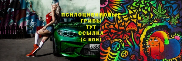 гашик Зеленодольск